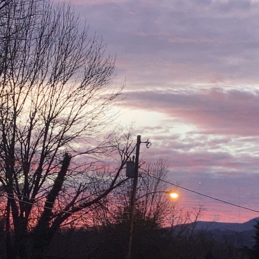 Meet your Posher, Alayna